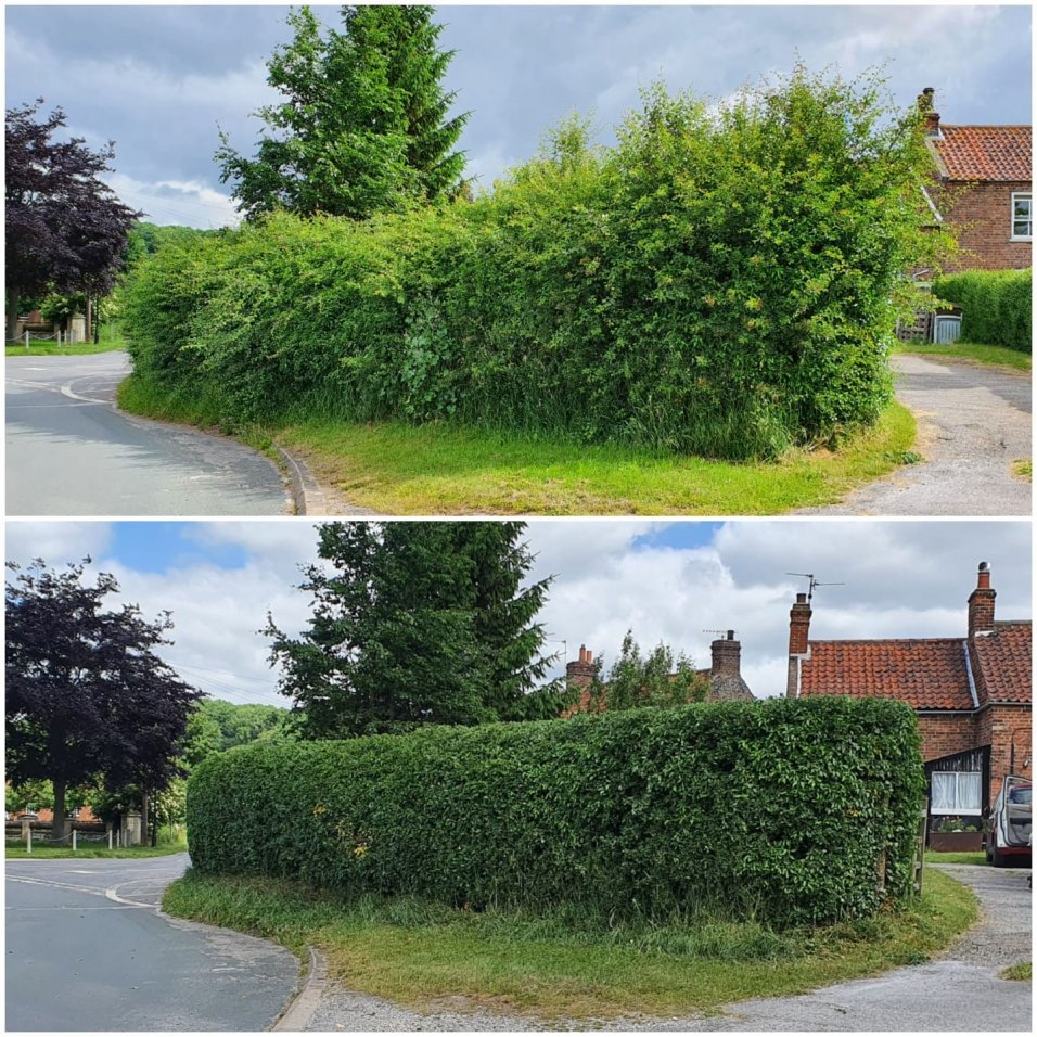 Hedge cutting services a little about Northumberland Landscaping Co